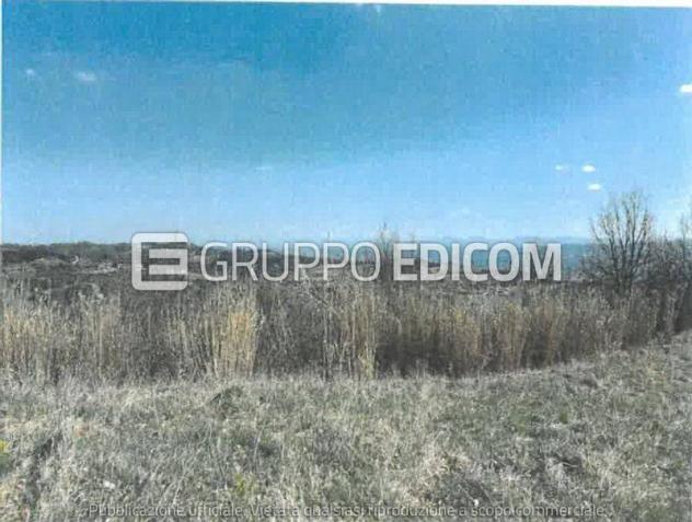 Terreno di 7180 mq in vendita a Terzo - Rif. 4554936