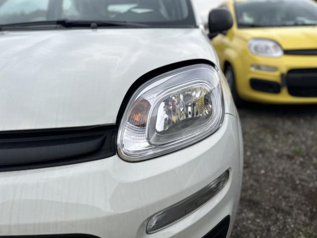 FIAT Panda 1.0 FireFly S&S Hybrid Pandina - Foto 8