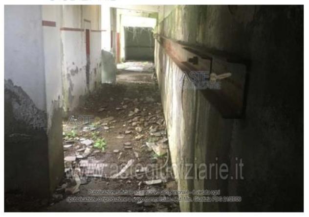 IMMOBILI-IMMOBILE INDUSTRIALE-Via Piano Rosso, 04012 Cisterna di Latina LT, Italia - Foto 6