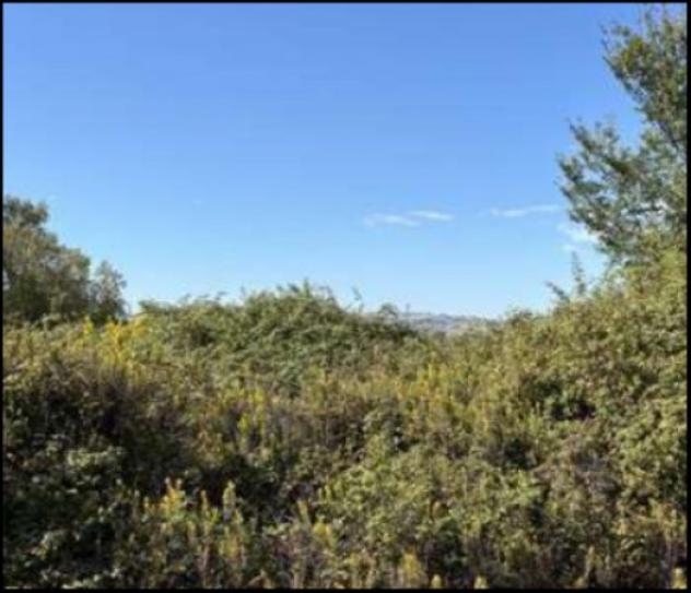 Immobile in asta di 10522 m² in vendita a Potenza Picena - Foto 2