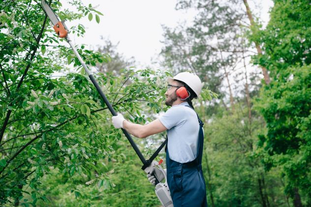 Giardiniere Italiano x Pulizia Giardini, Potature e Smaltimento - Foto 3