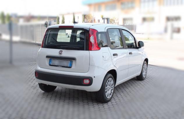FIAT Panda 3ª serie Panda 1.0 FireFly S&S Hybrid Pandina - Foto 6
