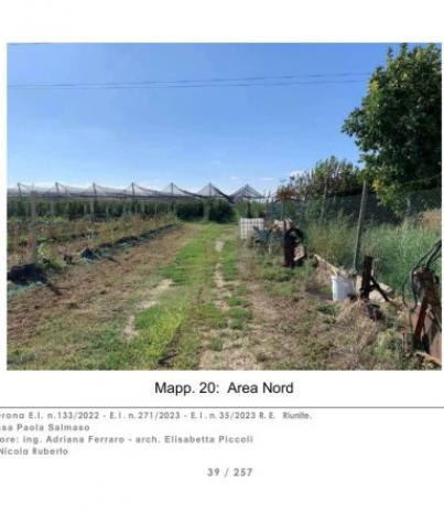 Immobile in asta di 225 m² con più di 5 locali in vendita a Caldiero - Foto 14