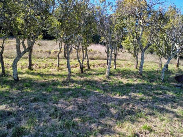 Terratetto in vendita a Varese Ligure - Foto 14