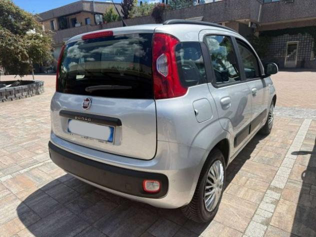 FIAT Panda Panda III 2013 1.2 Pop 69cv Neopatentati WRC AUTO rif. 23785863 - Foto 5