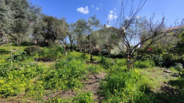 Terreno Agricolo - Iglesias . Rif.: Cod. rif 3303397VRG - Foto 2