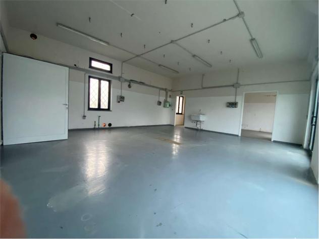 Fondo segro 1200 - Laboratorio a Capannori - Segromigno in Monte - Foto 20