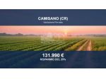 Immobile in asta di 22990 m² in vendita a Camisano