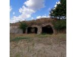 Nella zona di Manciano e precisamente a San Martino Sul Fiora vendiamo terr &hellip;