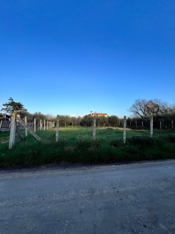 Terreno edificabile in vendita a Nettuno - Foto 2