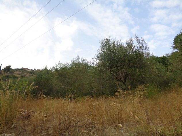 Torchiara-Terreno Con Fabbricato,Ulivi E Ficheto - Foto 3