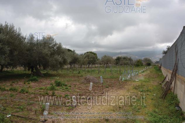 IMMOBILI-IMMOBILE RESIDENZIALE-via dei Cedri n. 14 - Foto 8