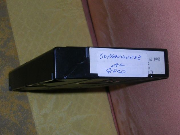 SOPRAVVIVERE AL GIOCO - Foto 6