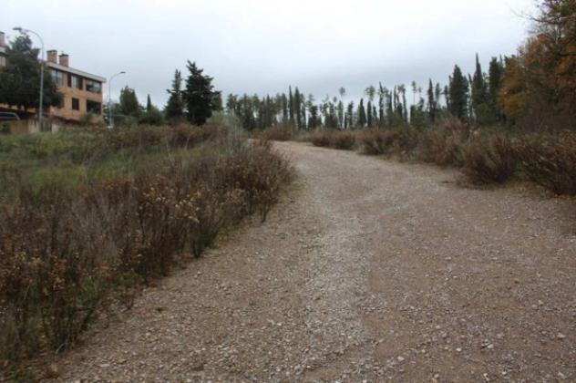 Immobile in asta di 21873 m² in vendita a Castellina in Chianti - Foto 9