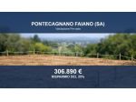 Immobile in asta di 27931 m² in vendita a Pontecagnano Faiano