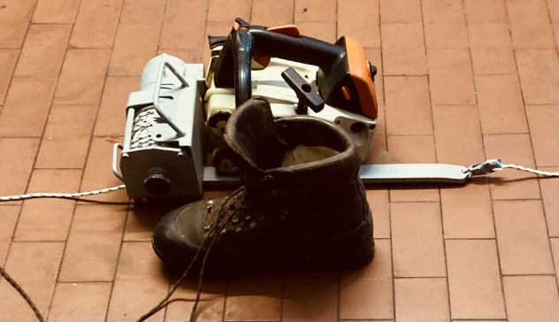 Verricello tiro legna ungulati - Foto 3