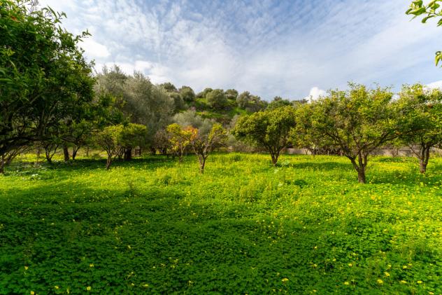 Agricolo in vendita a Catania - Foto 4
