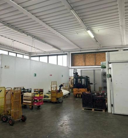 Immobile in asta di 546 m² in vendita a Pontedera - Foto 5