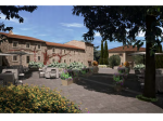 Azienda Agricola in vendita a Rosignano Marittimo