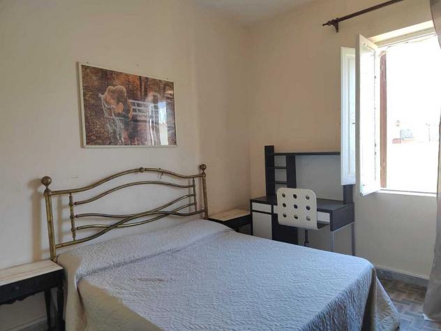 Trilocale in affitto a Ladispoli - Foto 10