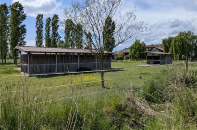 Immobile in asta di 232 m² in vendita a Momo - Foto 9