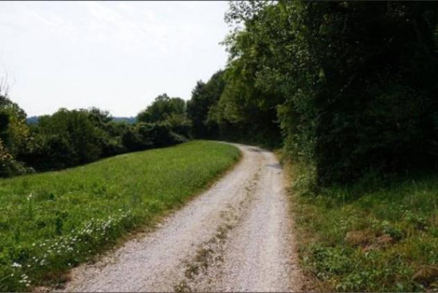 Immobile in asta di 11124 m² in vendita a Sovizzo - Foto 7