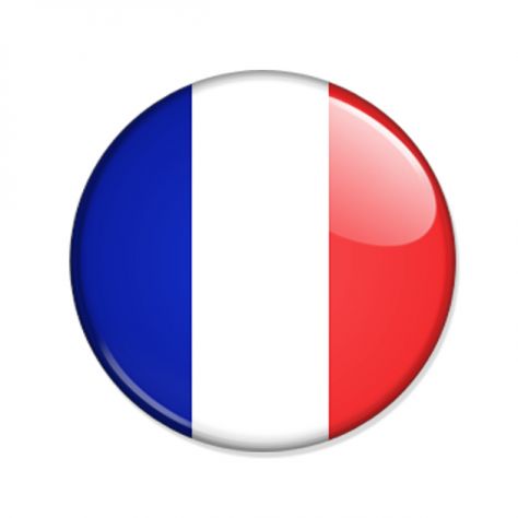 Traduzioni professionali in francese per privati e aziende