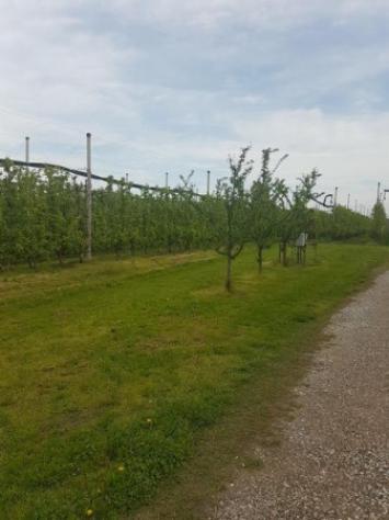 Terreno di 240 m² in vendita a Soliera - Foto 10