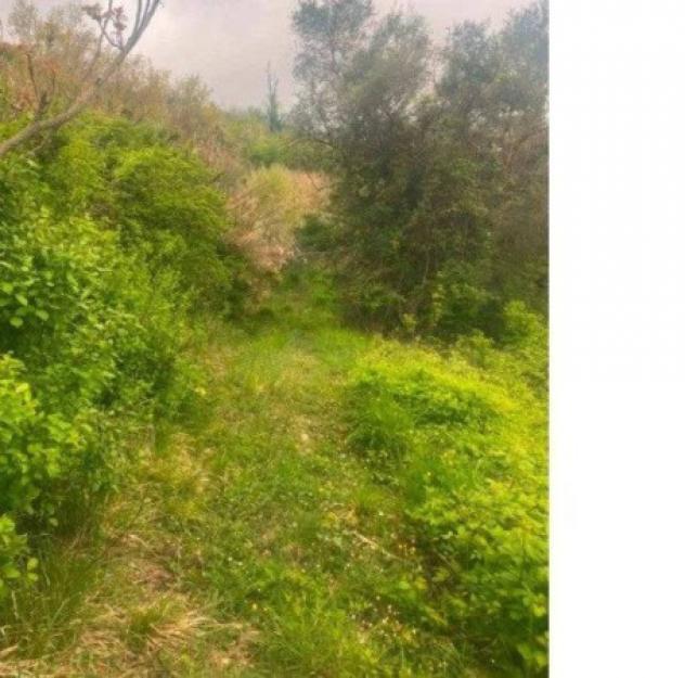 Immobile in asta di 205 m² con più di 5 locali in vendita a Saludecio - Foto 5