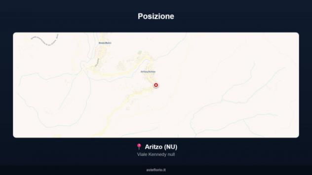 Immobile in asta di 2292 m² in vendita a Aritzo - Foto 10