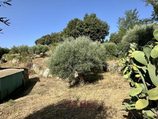 Terreno edificabile in vendita a Casale Marittimo - Foto 11