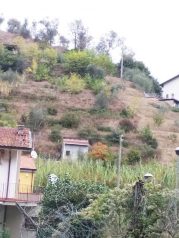 Vigneto in vendita a Vezzano Ligure - Foto 8