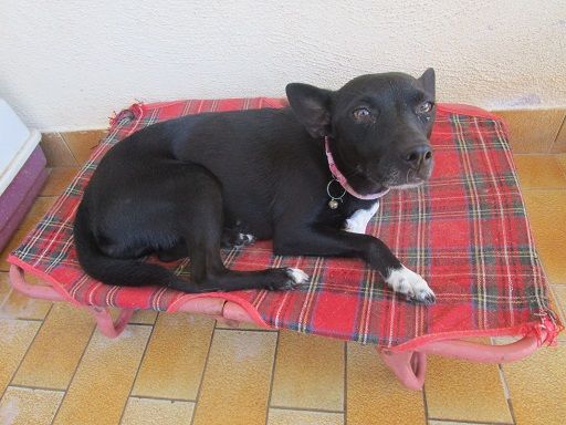 MIRNA, solo affetto e niente più! - Foto 4
