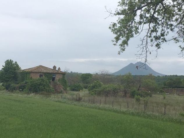 Terreno con casale in vendita a Civita Castellana - Via di Celle - Foto 3