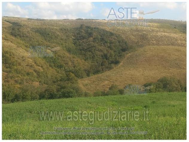 IMMOBILI-ALTRA CATEGORIA-Via Caselle, Mondaino RN, Italia - Foto 3