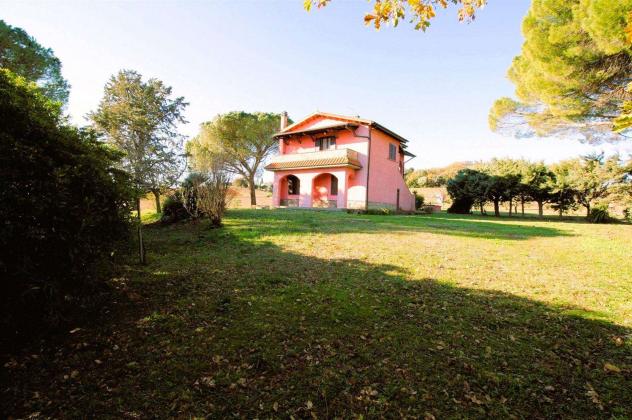 Rustico casale in Vendita in zona MONTEMASSI - Foto 6