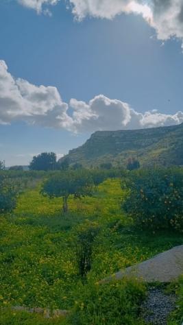 Terreno i mq 15.000 con caseggiato - Foto 8