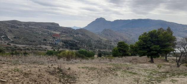 Terreno in vendita a Caccamo - Foto 17