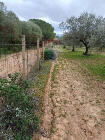 Terreno in vendita a Caltagirone, Santo Pietro - Foto 12