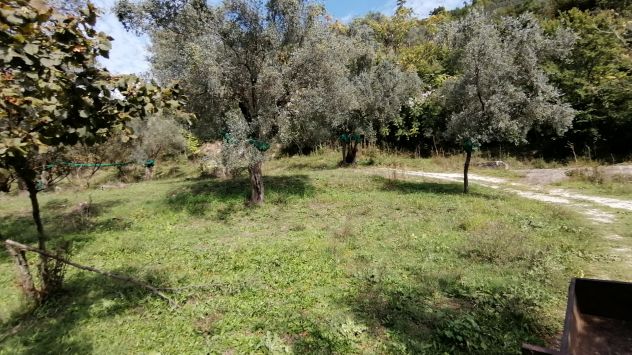 GIFFONI VALLE PIANA LOC. BELVEDERE Terreno di 13 ETTARI - Foto 6