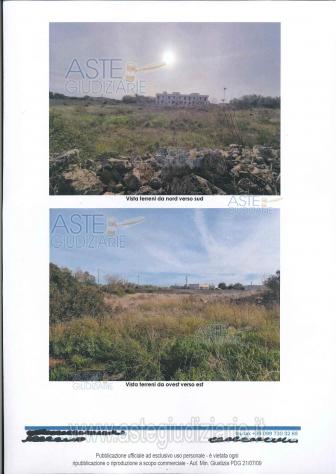 IMMOBILI-ALTRA CATEGORIA-74024 Manduria TA, Italia - Foto 3