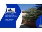 Immobile in asta di 966 m², box auto doppio in vendita a Valderice