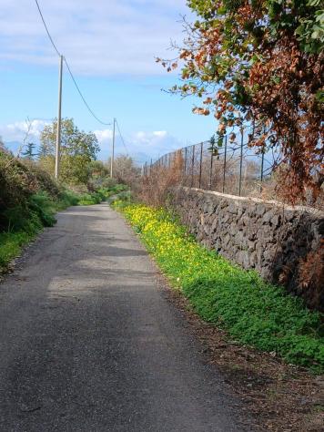 Terreno in vendita a Belpasso - Foto 5