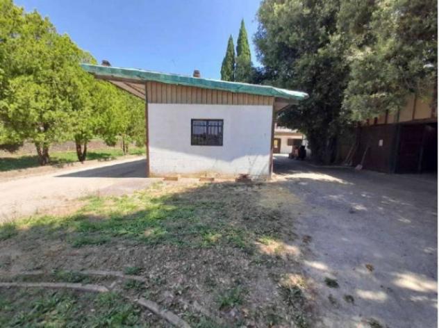 Immobile in asta di 188615 m² in vendita a Castelnuovo Berardenga - Foto 5