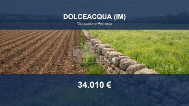 Immobile in asta di 4326 m² in vendita a Dolceacqua