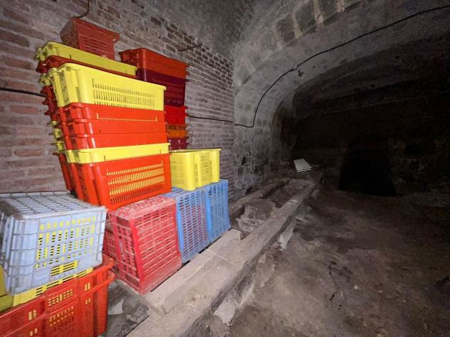 Magazzino in vendita a Morlupo - Foto 4