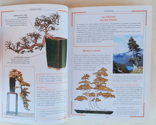 Coltiviamo i Bonsai.Gli stili,Legatura, potatura.Vasi rinvasi 1°Ed.Demetra,1998 - Foto 4