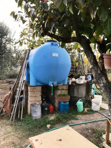 TERRENO AGRICOLO di 1 vani e di 1000 mq (FOLLONICA) rif. ORTOFOL - Foto 7