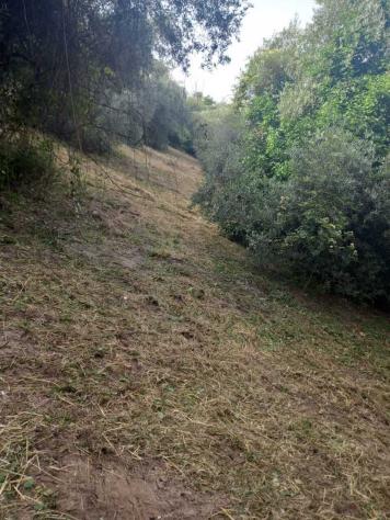 Uliveto in vendita a Morlupo - Foto 6