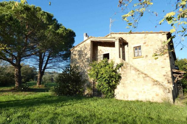 Rustico casale in Vendita in zona MONTEMASSI con giardino - Foto 3